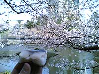 d0054855_21533138.jpg