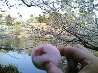 d0054855_21534675.jpg
