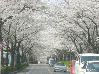 f0044557_1844285.jpg