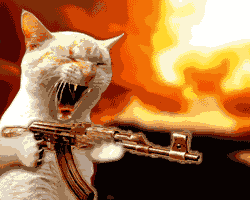 f0057757_75997.gif