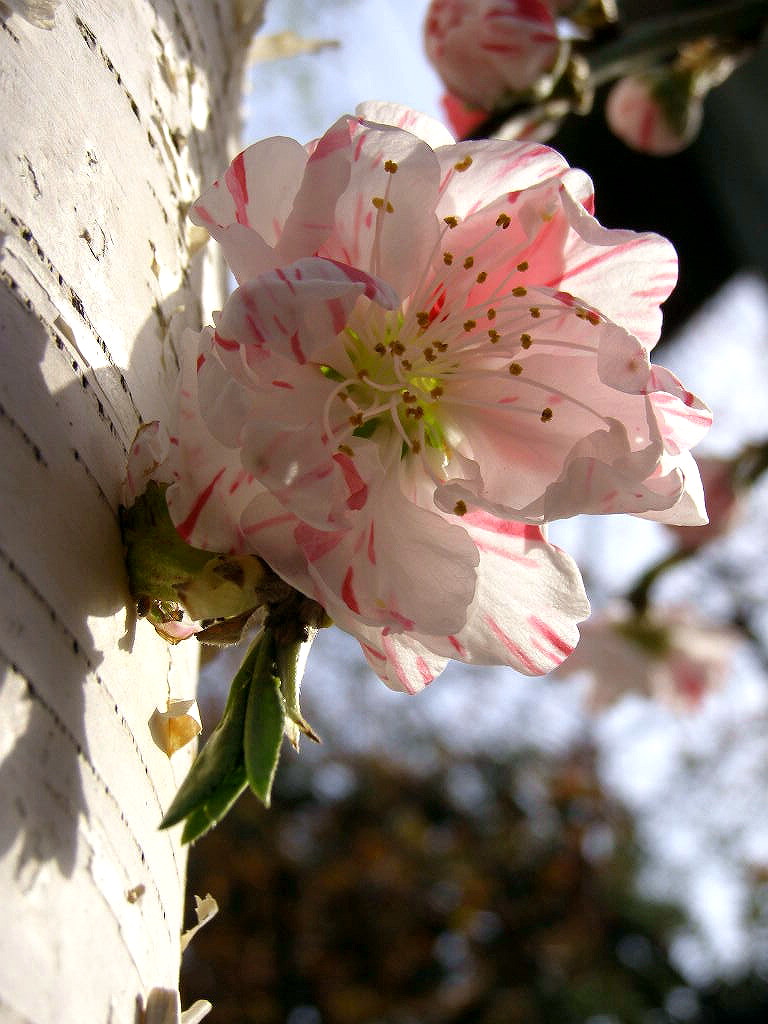 e0064158_23303061.jpg