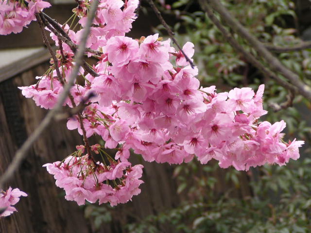 f0074659_23501877.jpg