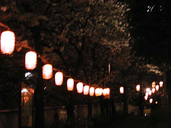 c0064161_16264135.jpg