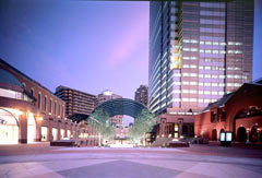 e0076461_1563335.jpg