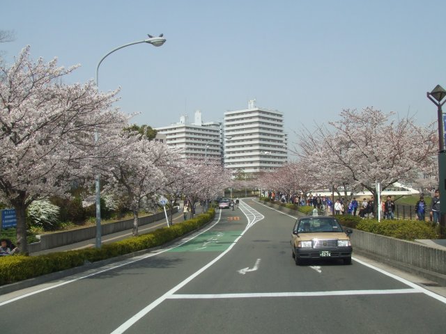 a0015766_952136.jpg