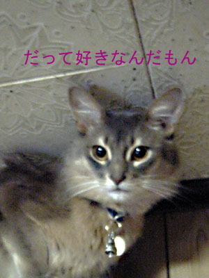 e0087470_16265147.jpg
