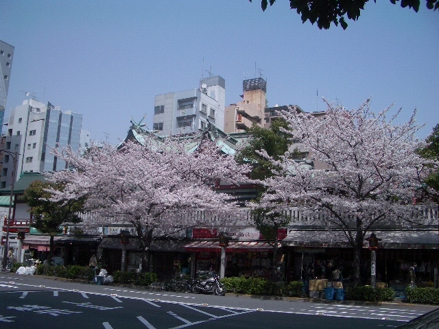 c0053671_23513467.jpg
