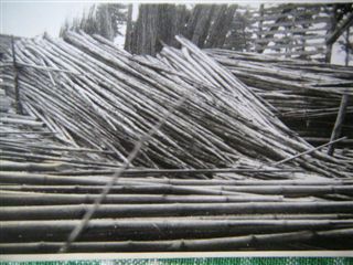 f0070671_22371430.jpg