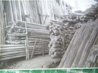 f0070671_2238079.jpg