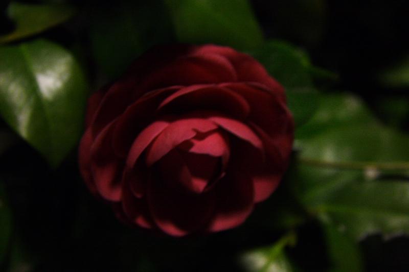 c0030874_22223497.jpg