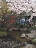 e0000377_2047674.jpg