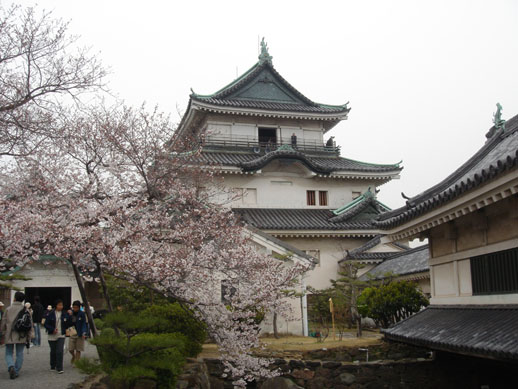 a0004180_0131657.jpg