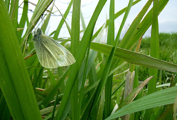 f0090680_2225468.jpg