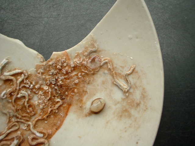 e0060485_2357135.jpg