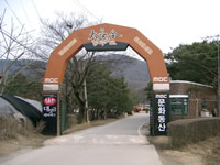 d0065190_23325165.jpg
