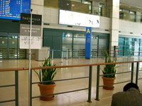 d0065190_2345697.jpg