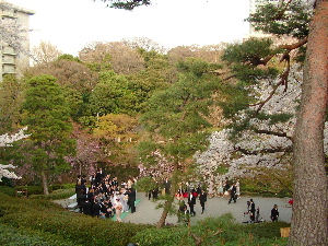 c0034396_12383587.jpg