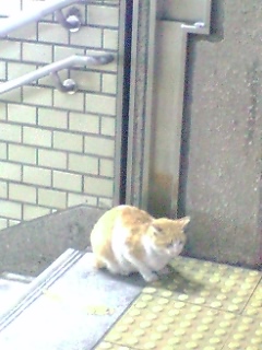 c0072698_23131216.jpg