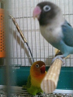 c0027700_2159028.jpg