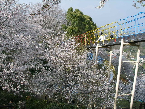 c0036203_18553692.jpg