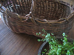 e0091804_13475655.jpg