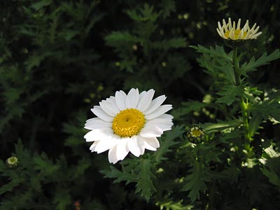 a0041508_21493468.jpg