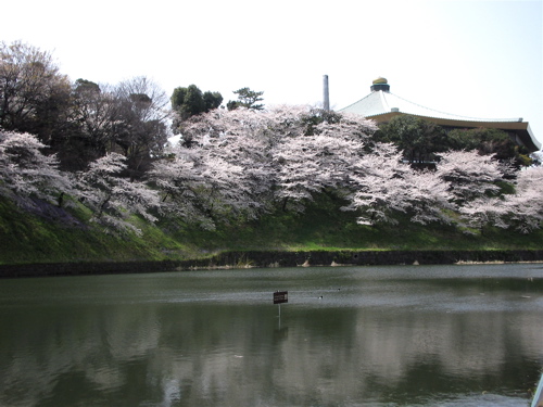 b0046210_03139.jpg