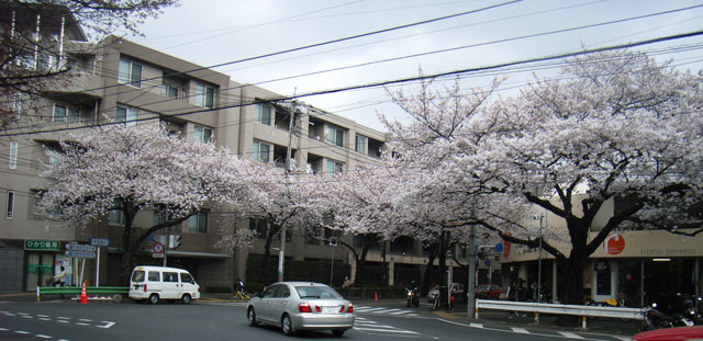 e0049318_19523285.jpg