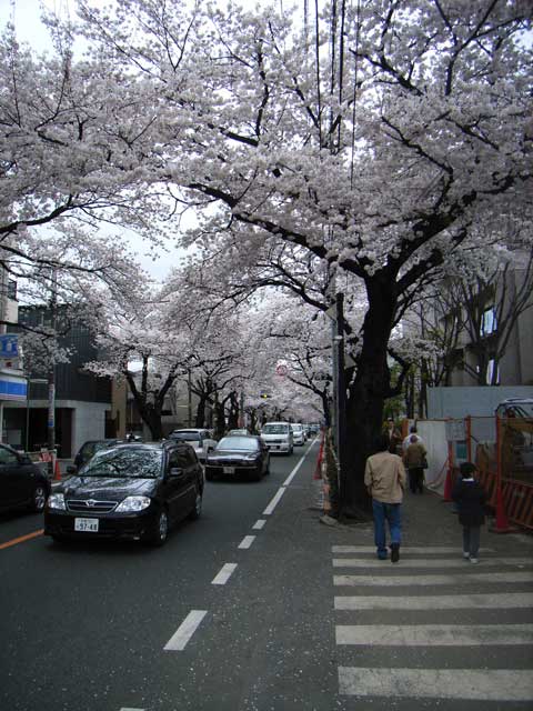 e0049318_19534146.jpg