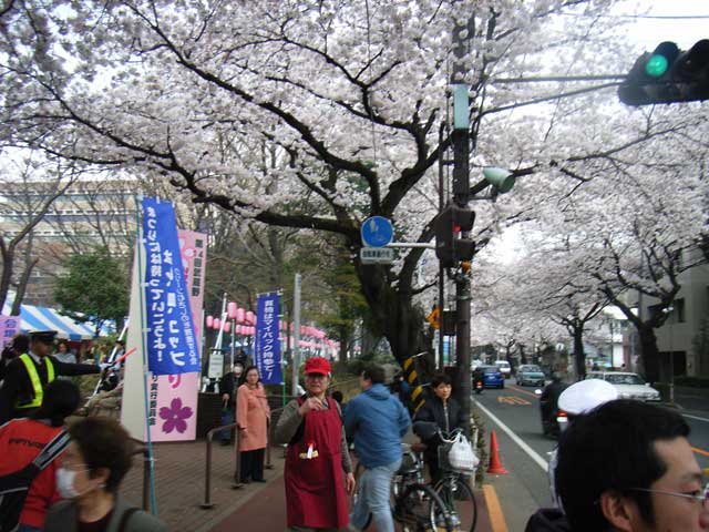e0049318_19541230.jpg