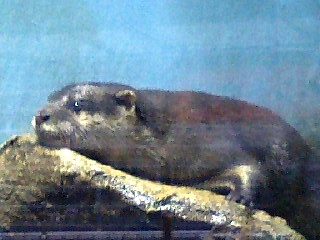 c0005619_22143552.jpg