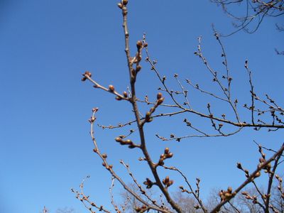 c0013922_1933423.jpg