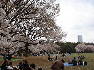 d0023323_1413452.jpg