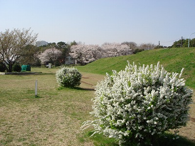d0023323_20531343.jpg