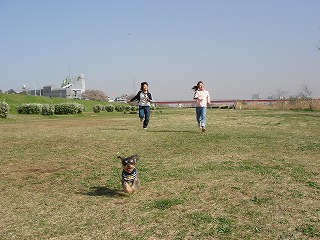 d0023323_2057468.jpg