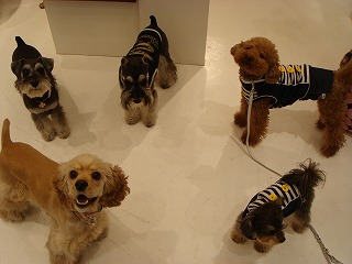 d0023323_21111155.jpg
