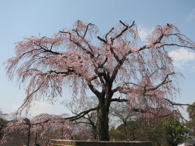 f0054428_23362947.jpg