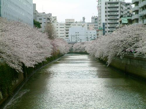 a0000029_2317549.jpg