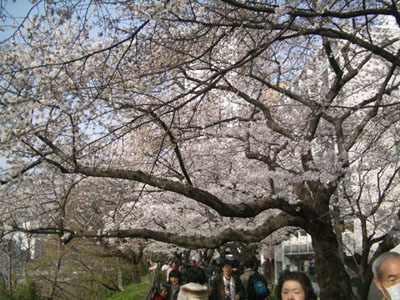 f0078132_4273874.jpg