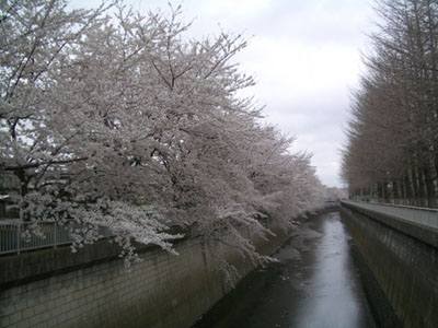 f0078132_4311681.jpg