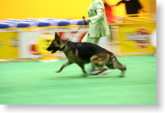 c0071334_123472.jpg