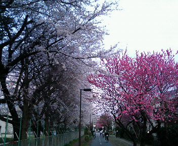 a0040736_20251627.jpg
