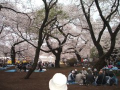 a0040736_20272995.jpg