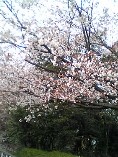c0070940_21483888.jpg