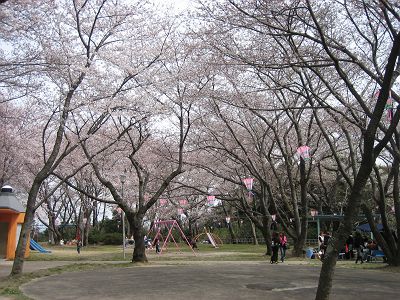 e0051142_23554777.jpg