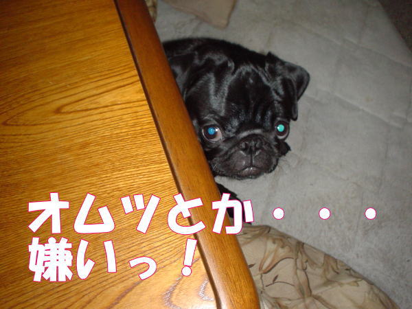 e0040544_20105435.jpg