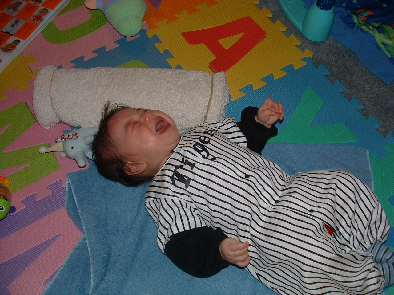 d0012645_463959.jpg