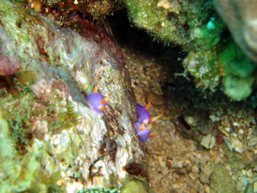 d0065247_2331930.jpg