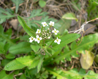 c0069048_640144.jpg