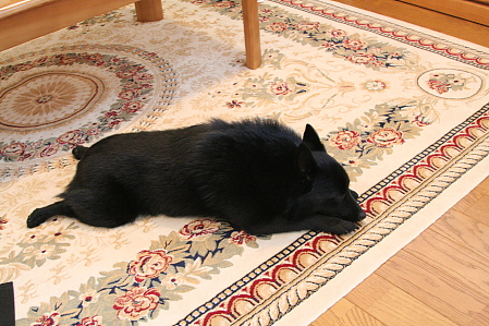 a0009750_11461787.jpg